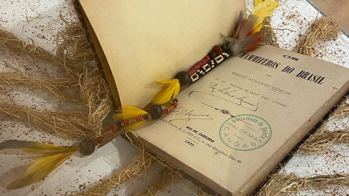 Exposição Emilio Goeldi e as Aves Amazônicas chega em São José dos Campos