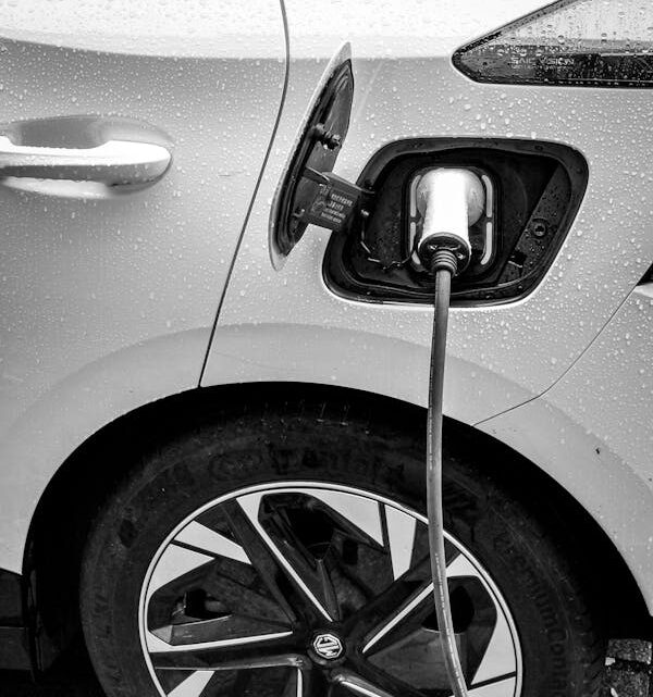 Brasileiro tem demonstrado crescente interesse por carros elétricos