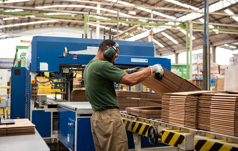Setor de embalagens se transforma com a sustentabilidade