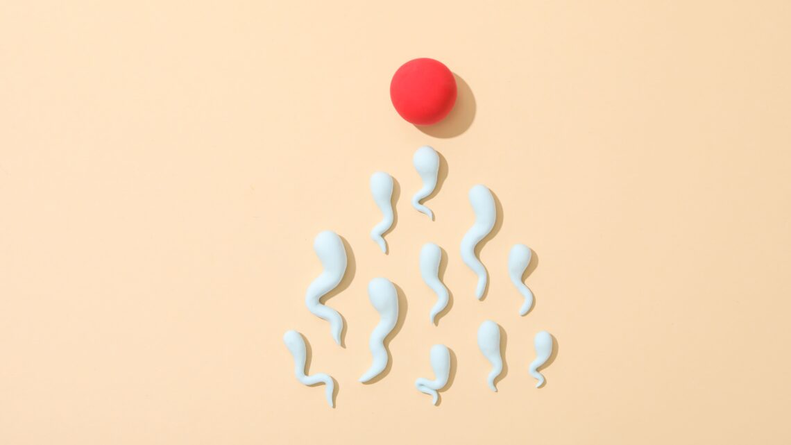 Crescem os pedidos de reversão de vasectomia