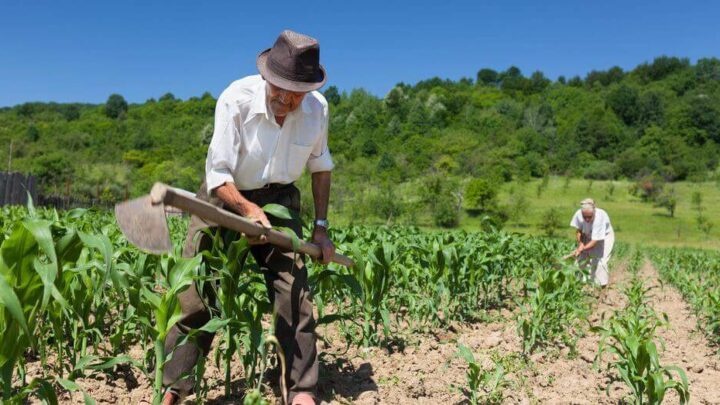 Centro-Oeste lidera concessões de crédito rural com R$ 15,7 milhões no 2º trimestre de 2024