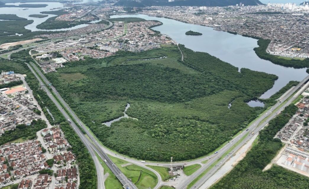 Cidades Verdes do Mundo: 34 municípios brasileiros fazem parte de seleta lista da ONU