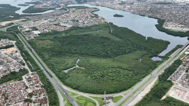 Cidades Verdes do Mundo: 34 municípios brasileiros fazem parte de seleta lista da ONU