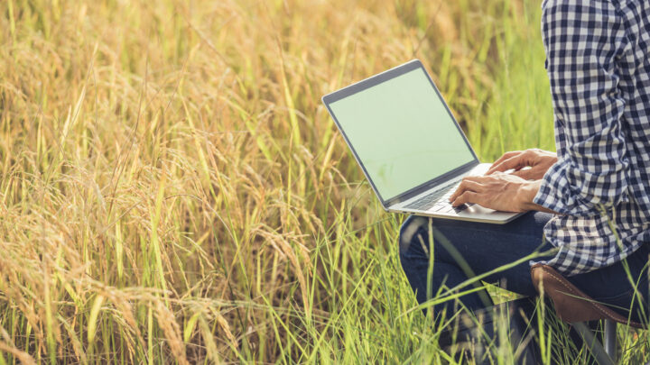 Curso de informática leva oportunidade e transformação à zona rural do Piauí