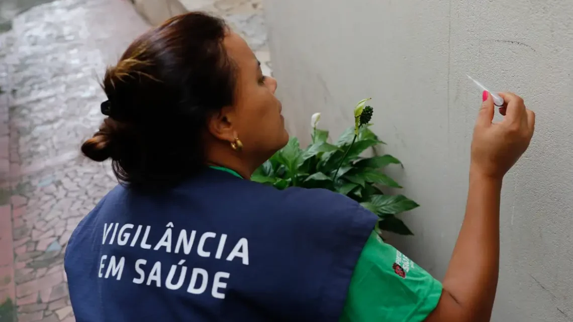 Dengue: estado do Acre e oito municípios decretam situação de emergência