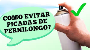 Dr. Ajuda: como evitar picadas de pernilongos
