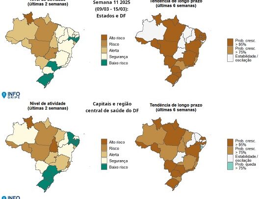 InfoGripe: 12 das 27 unidades federativas apresentam incidência de SRAG em nível de alerta