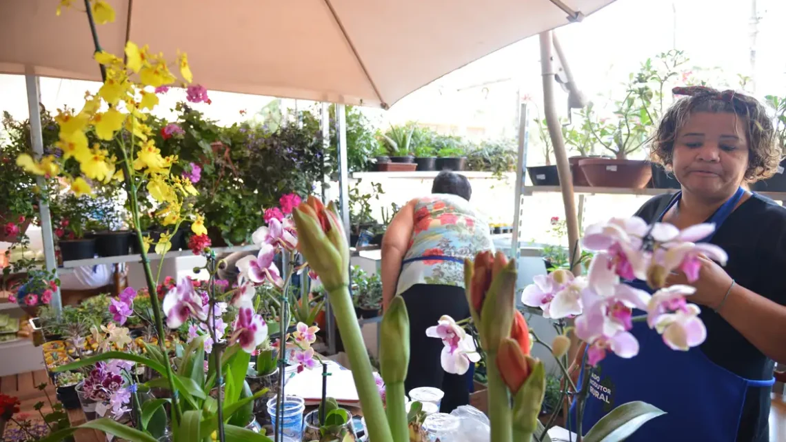 MEI: contribuição vai aumentar a partir de janeiro