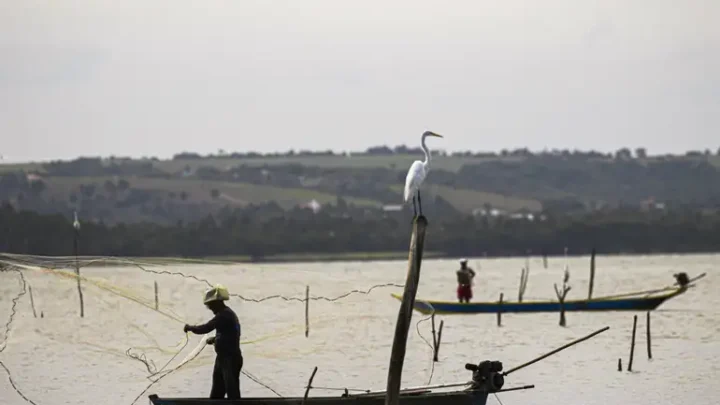 Período de defeso na Bacia Hidrográfica do Rio Paraná termina em 28 de fevereiro