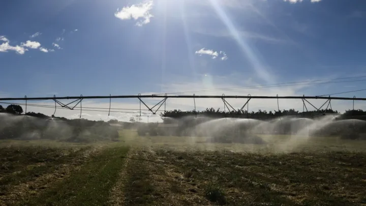 Safra 2025: IBGE prevê 322,6 milhões de toneladas, com crescimento de 10,2% frente a 2024