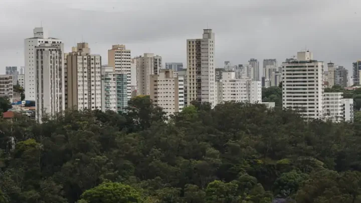 São Paulo lidera ranking de cidades brasileiras com maior intensidade de ligações empresariais