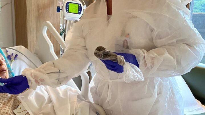 Especialista fala sobre inovações na psicologia hospitalar