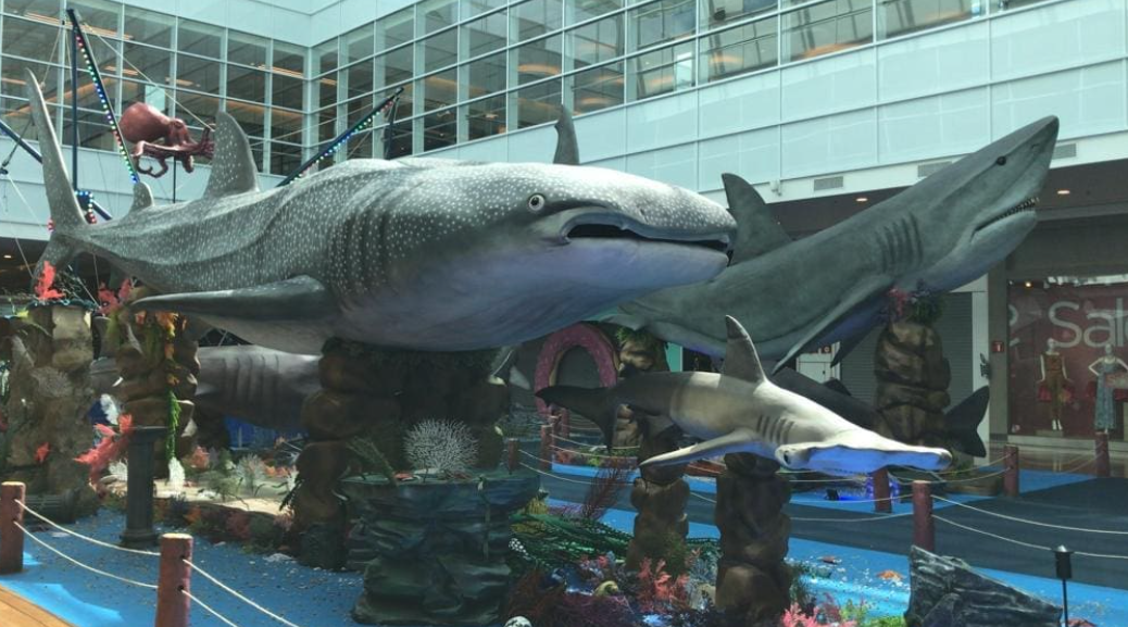 Exposições temáticas podem aliar diversão e aprendizado