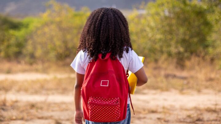 Doações via IRPF chegam a R$ 414 milhões em 2025