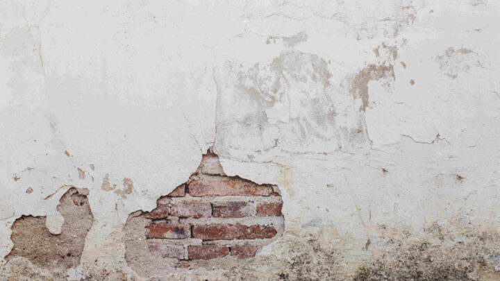 Patologias nas edificações comprometem saúde, segurança e vida útil dos imóveis