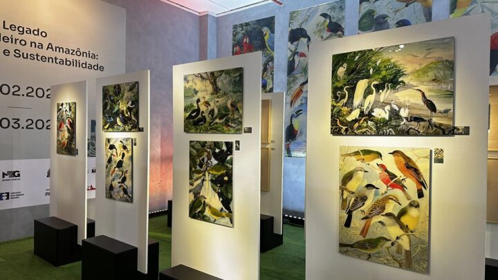 Exposição “Legado Suíço Brasileiro na Amazônia” será inaugurada em Manaus