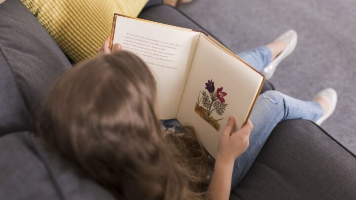 Livros indicados pela Fluency Academy ajudam iniciantes