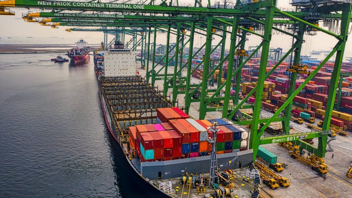 Setor de saúde precisa se adaptar à nova fase do Novo Processo de Importação