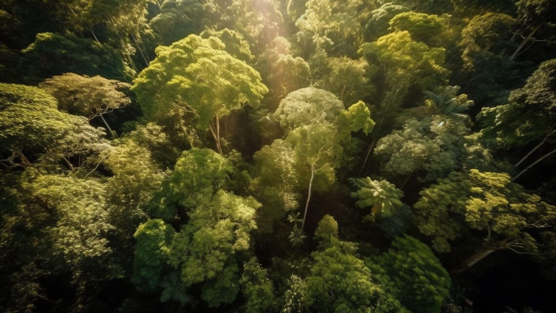 Belém sedia seminário sobre turismo regenerativo na Amazônia