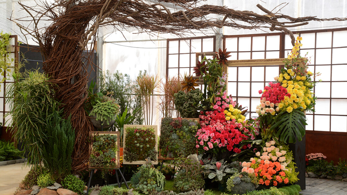 Festa de Flores e Morangos de Atibaia acontece em setembro