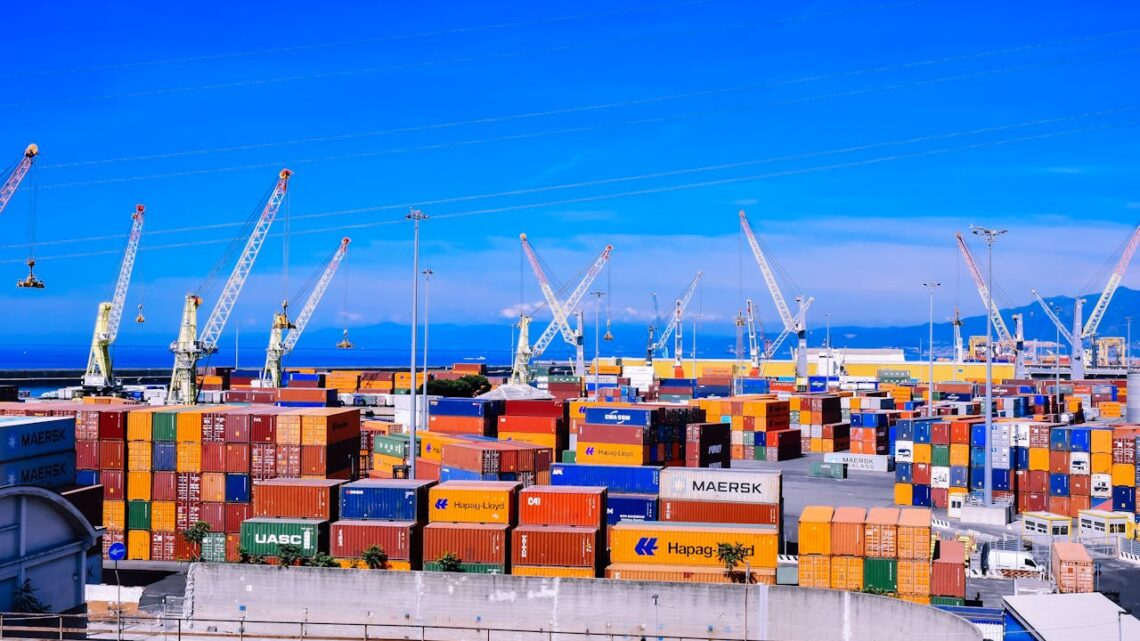 DTA Simplificada pode ampliar agilidade nas operações logísticas