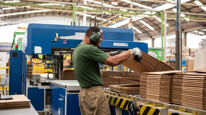 Indústria de celulose avança sob pressão por sustentabilidade