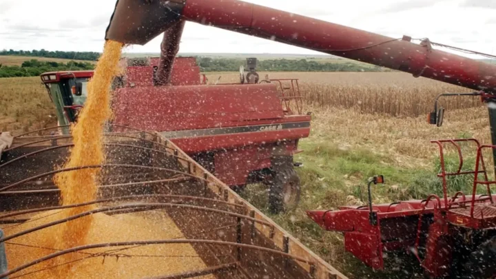 Valor Bruto da Produção do Agro atinge R$1,4 trilhão em agosto