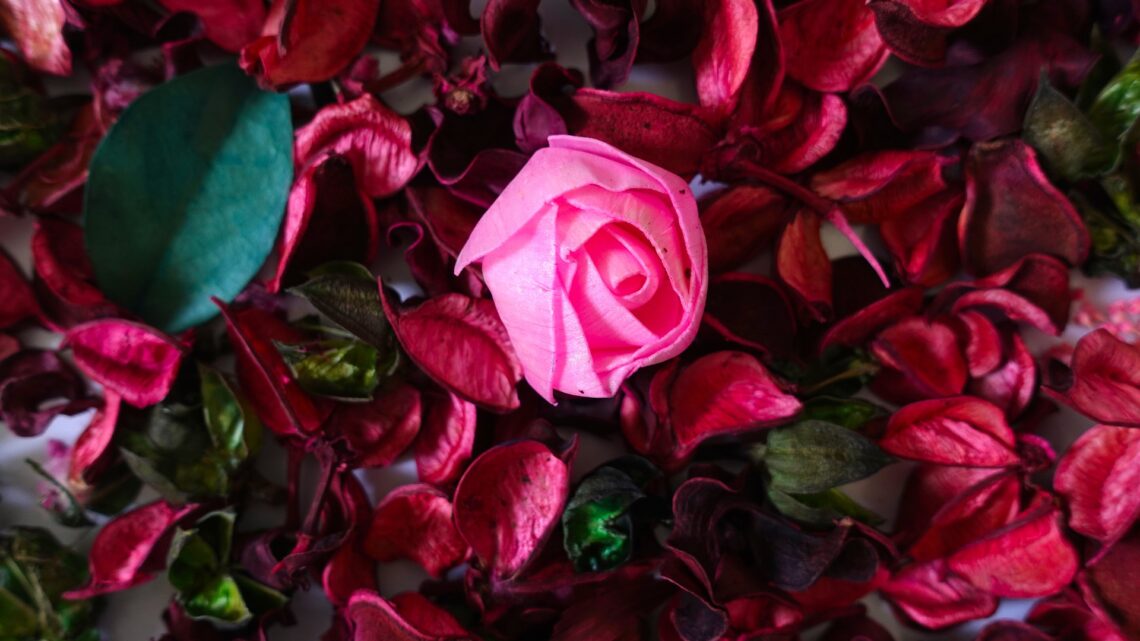 Ação do caminhão da Giuliana Flores repercute entre consumidores e celebridades