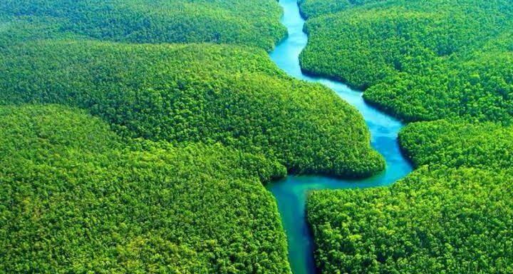 Brasil terá primeiro projeto do mundo na metodologia VM0048