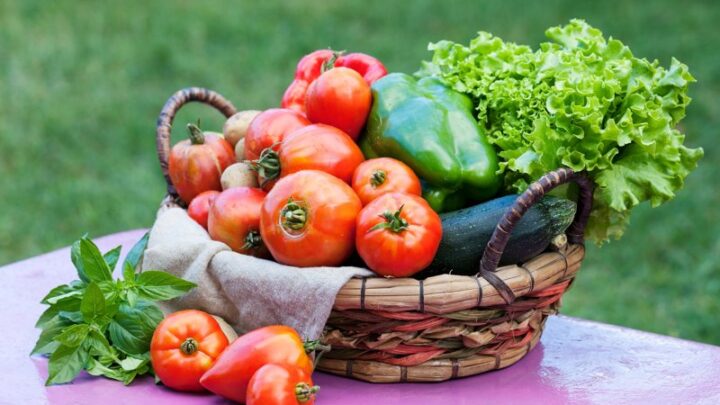 Orgânicos ganham destaque com a chegada da primavera