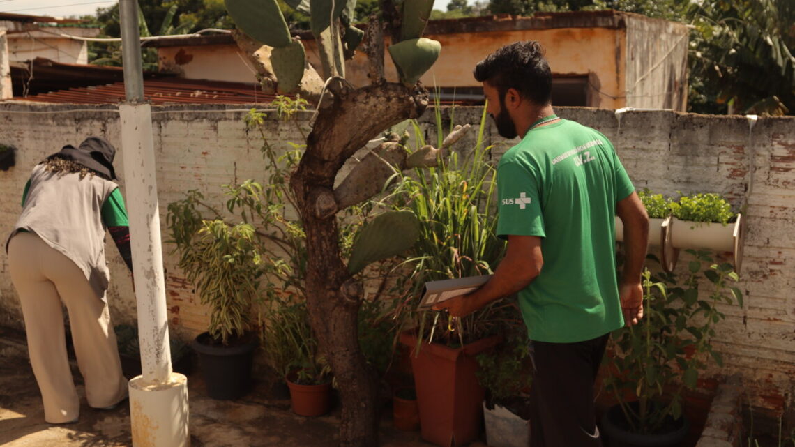 População deve eliminar focos de água parada após ocorrência de chuvas