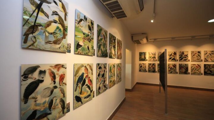 Curadora do legado de Goeldi retorna à Amazônia para a COP30