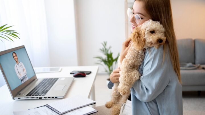 Telemedicina veterinária avança e muda rotina de atendimento
