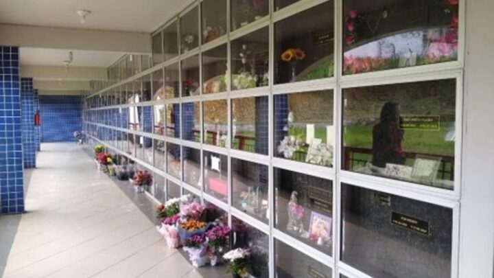 Setor funerário inova, cresce e tem foco sustentável