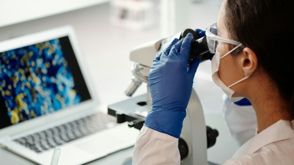 Cannabis medicinal apresenta avanço na medicina de precisão