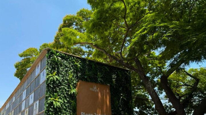 Grupo Maya promove acolhimento no Dia de Finados