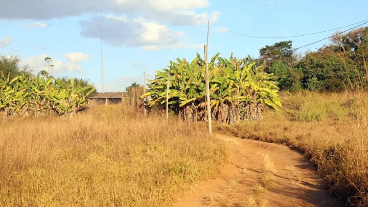 Prorrogado prazo para georreferenciamento de imóveis rurais