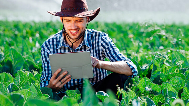 Tecnologia brasileira impulsiona a inovação no agronegócio