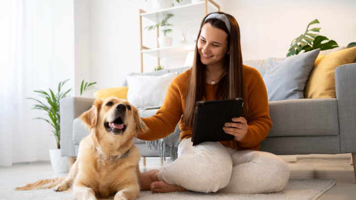 PetCerto: plataforma compara preços de produtos para pets