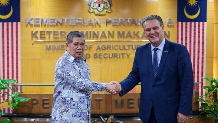 Brasil e Malásia retomam comércio de frango e ampliam mercado agropecuário