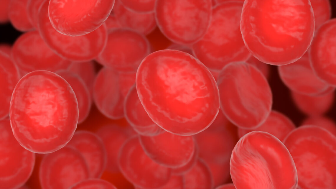 Novo tratamento para mieloma múltiplo é aprovado pela Anvisa