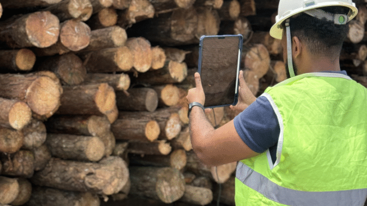 Pixlog é uma das Top 10 premiadas no Show Florestal