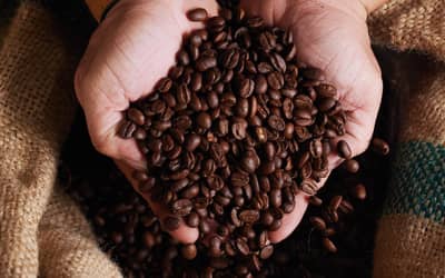 Café arábica tem queda no preço nesta quinta-feira (31)