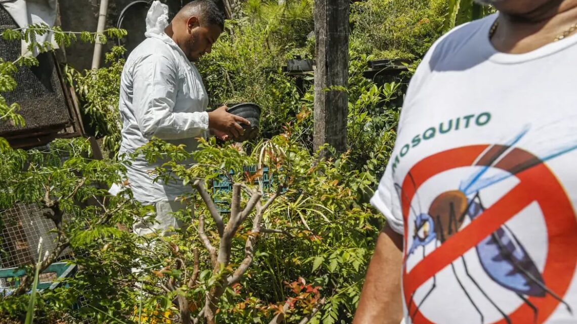 DENGUE: SP está entre as 10 unidades da federação com tendência de queda nos casos da doença