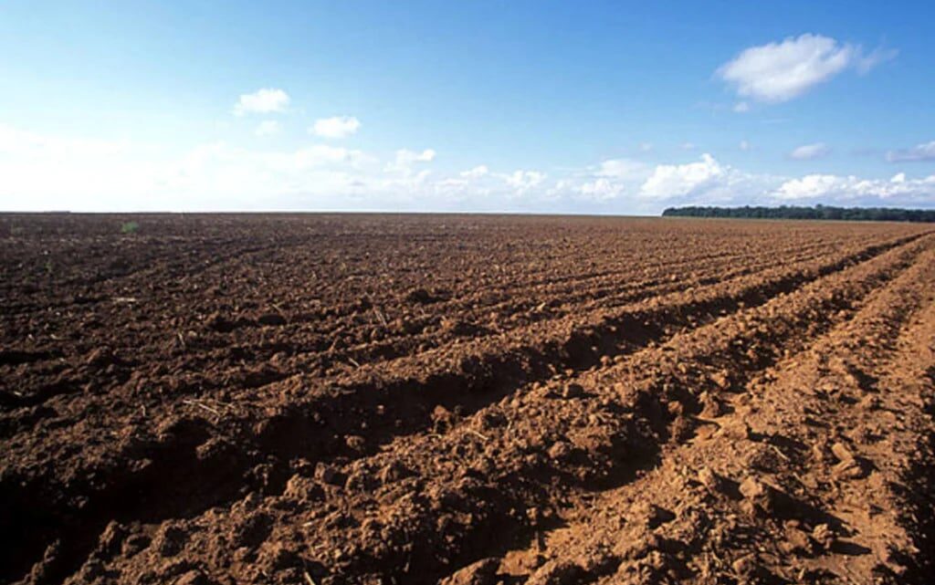 Goiás inicia vazio sanitário da soja nesta sexta-feira; medida já vale em outros estados