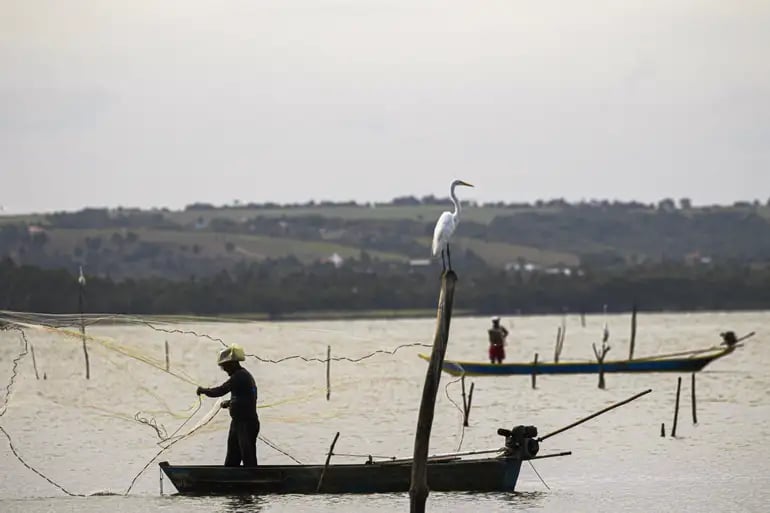 Período de defeso nas Bacias Hidrográficas do estado da Paraíba termina em 28 de fevereiro