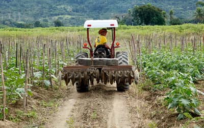 Plano Safra 24/25: mais recursos e taxas de juros reduzidas para impulsionar práticas sustentáveis
