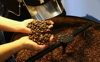 Preço do café arábica registra baixa nesta terça-feira (28) – Cópia