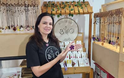 Recorde: Mato Grosso do Sul registra mais de 19 mil aberturas de MEIs