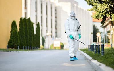 Tira-dúvida da dengue: tudo que você precisa saber sobre a doença